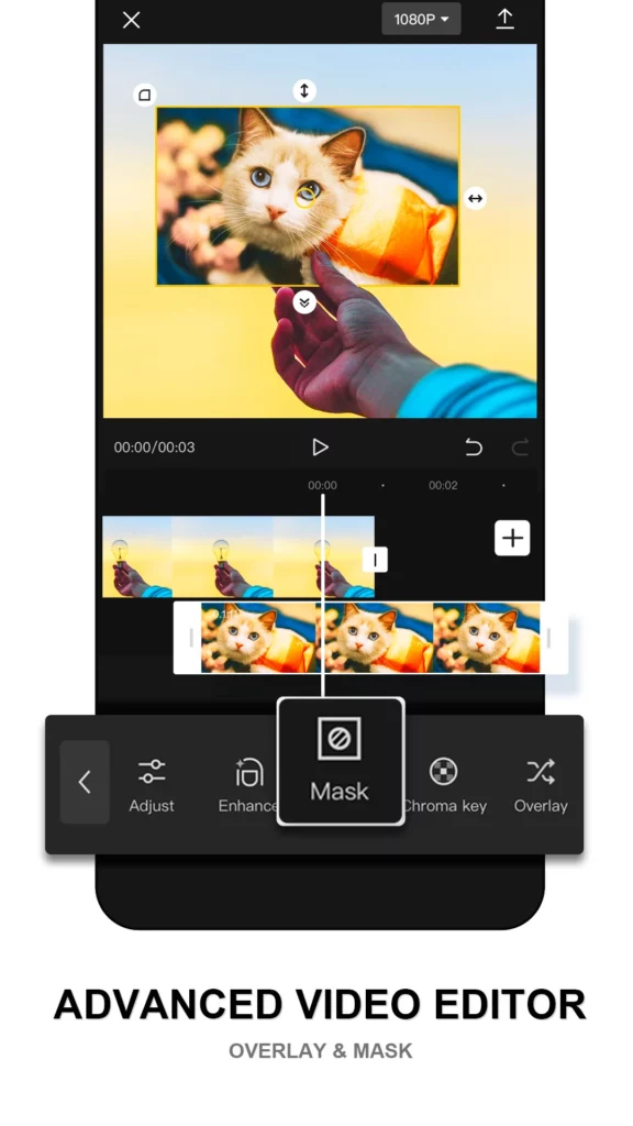 CapCut Premium Apk