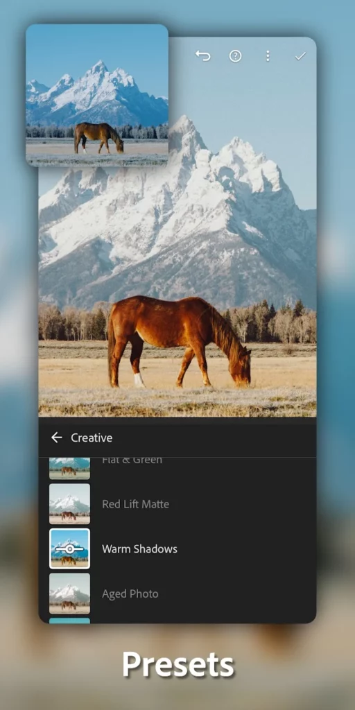 Adobe Lightroom Apk