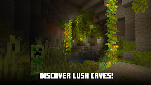 Minecraft Editioin APK