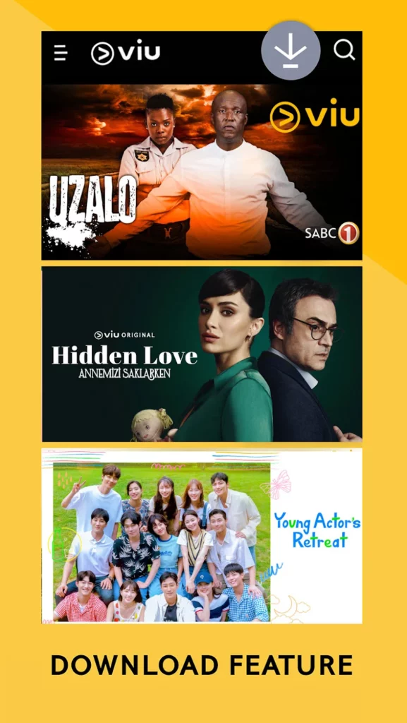 VIU Mod