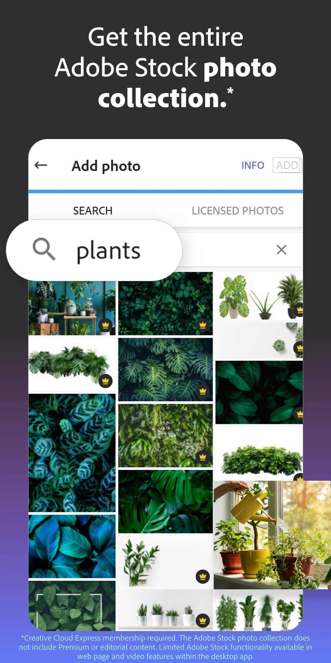 Features of Adobe Express Mod Apk