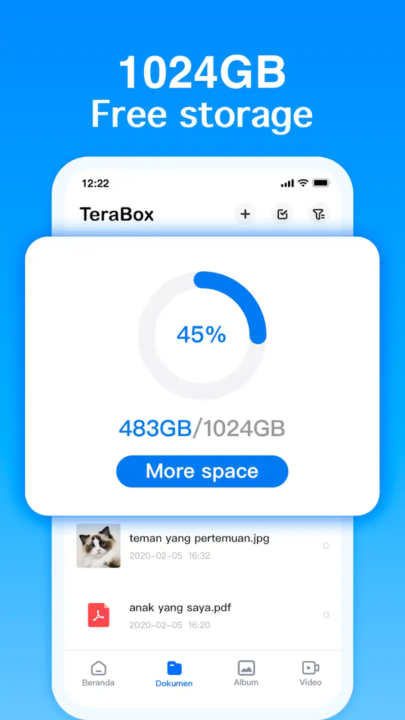 Terabox Mod APK